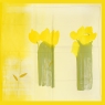 Платок "Желтые тюльпаны", 90 см х 90 см см Артикул: 3901227 Производитель: Италия инфо 2632c.